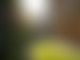 Discover Luxury Hen Weekend Options in Cambridge