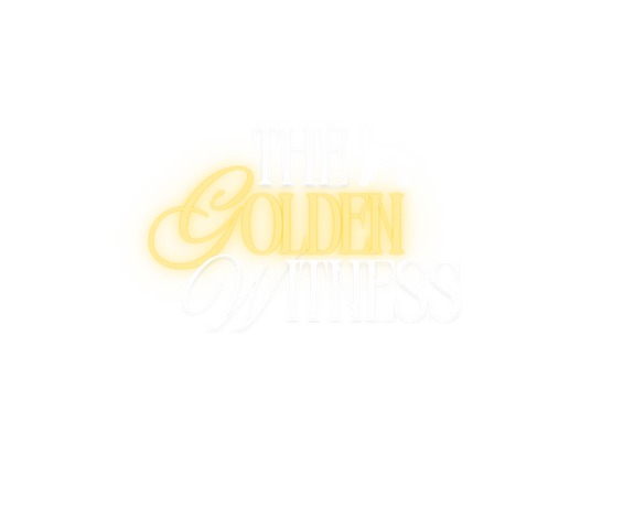 311.png