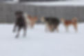 kip snow daycare.jpg