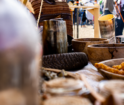 Cidre et dragons 2022 camp