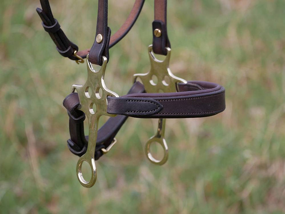 Miniature : Hackamore IDAHO