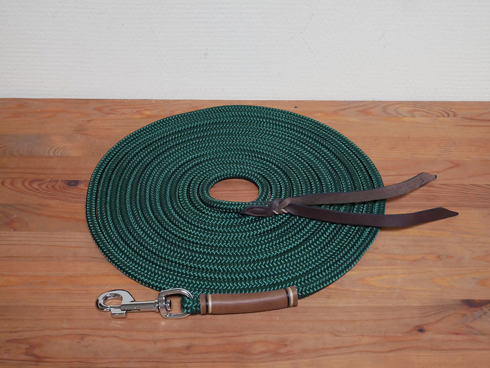 Miniature : Longe 5m à 7m gainage cuir
