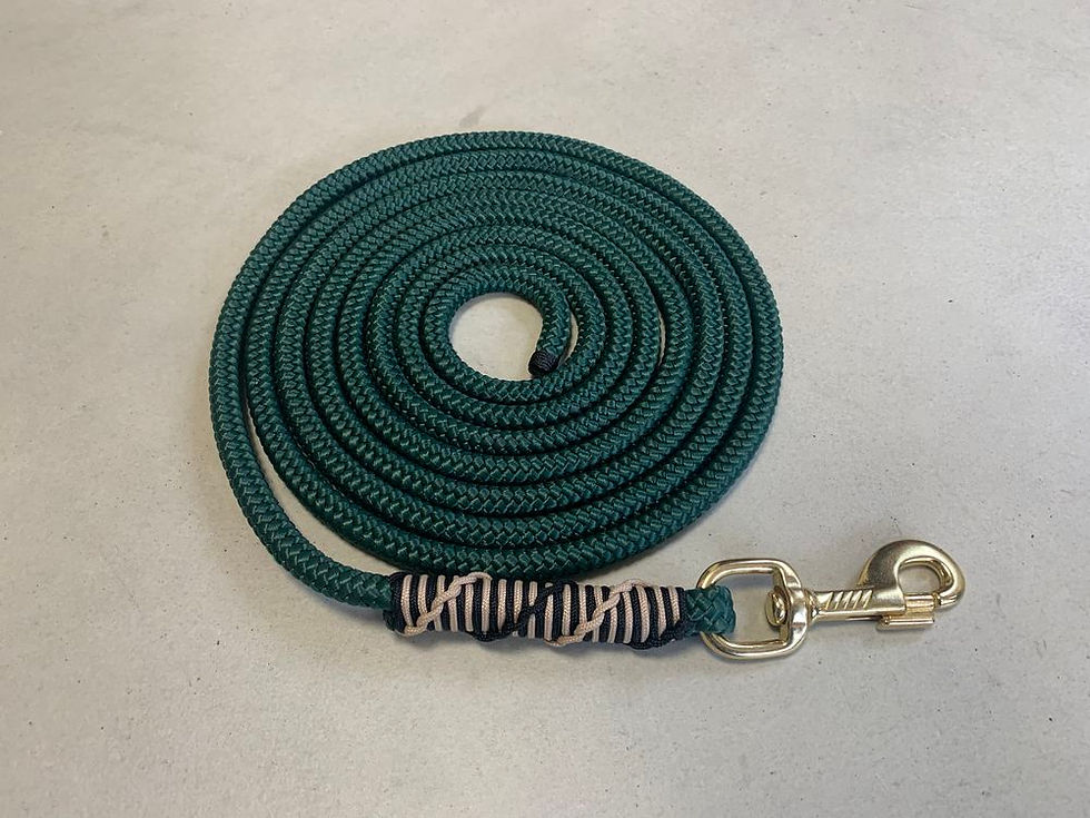 Miniature : Longe d'attache - gainage cordelette
