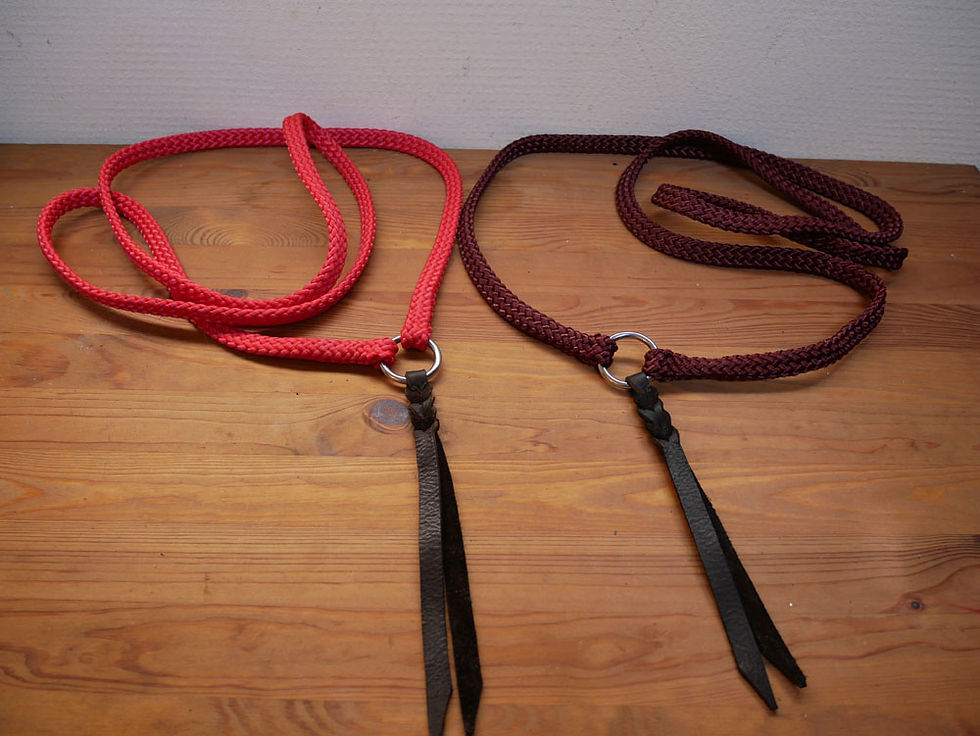 Miniature : Collier d'encolure simple