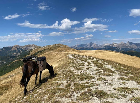 Randonnée à cheval Haut-Diois et Buëch