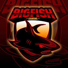 Big Fish Gaming