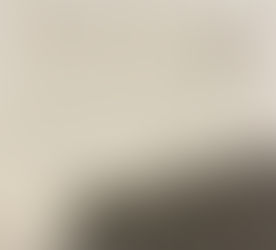 Cricket trials and the mental side of the game