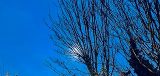 Titian blue sky, Feb 2023 