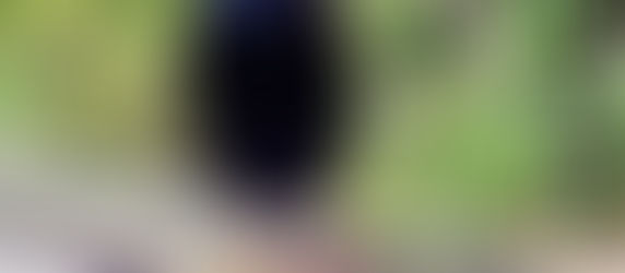 Starling’s Five Year Plan - April 2023