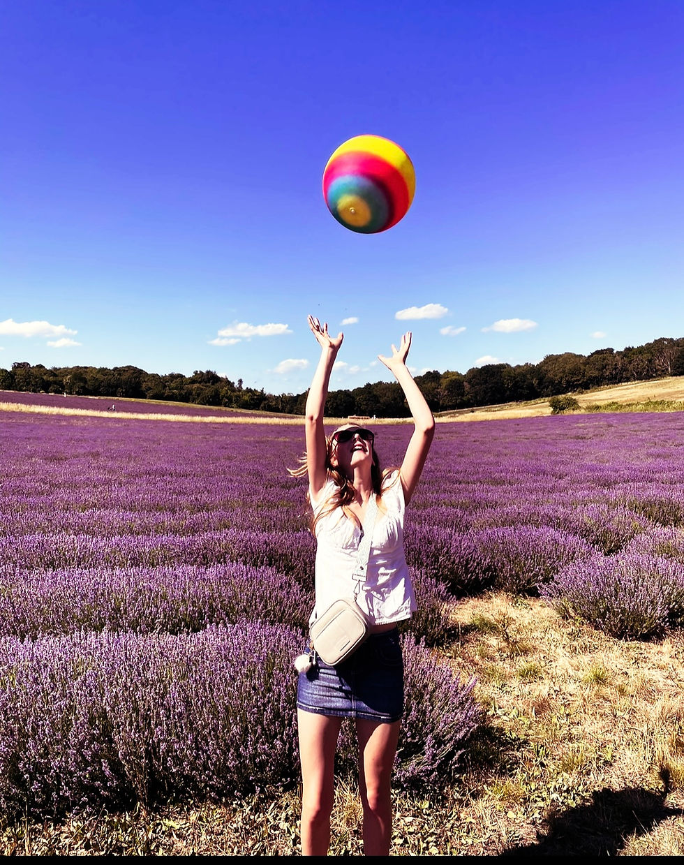 The Lavender Butterflies - VIDEO