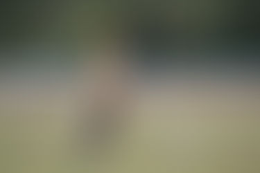 Great Defence Allows Platform To Spring Forward