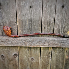 Gandalfpfeife, Pfeife Auenland (handgefertigt, ruetzpipes, Tirol, Österreich)