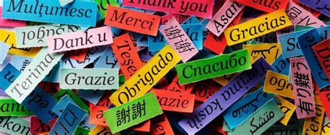 Should teachers use students’ first language(s) in the English Language classroom?
