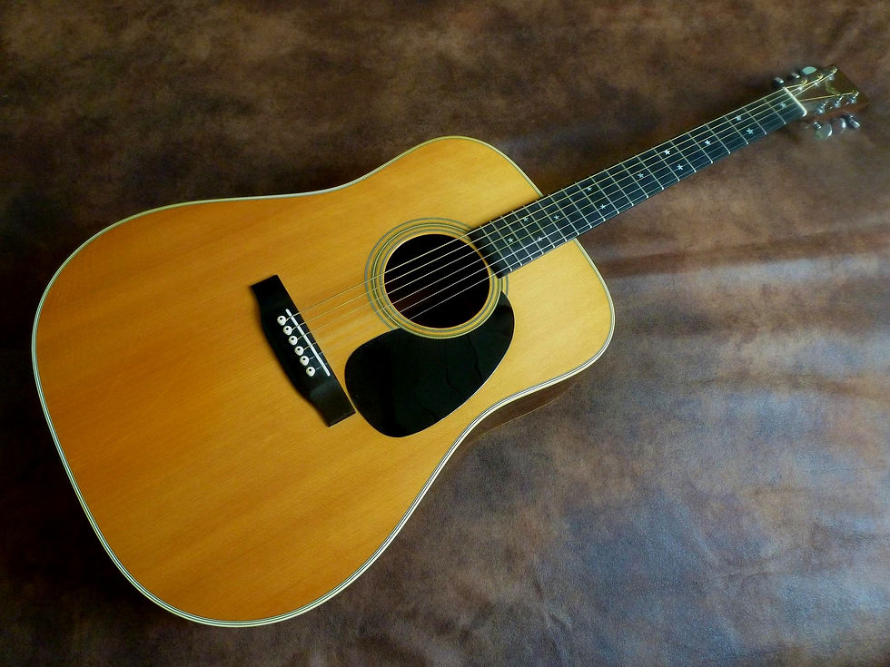 Martin D76 1976