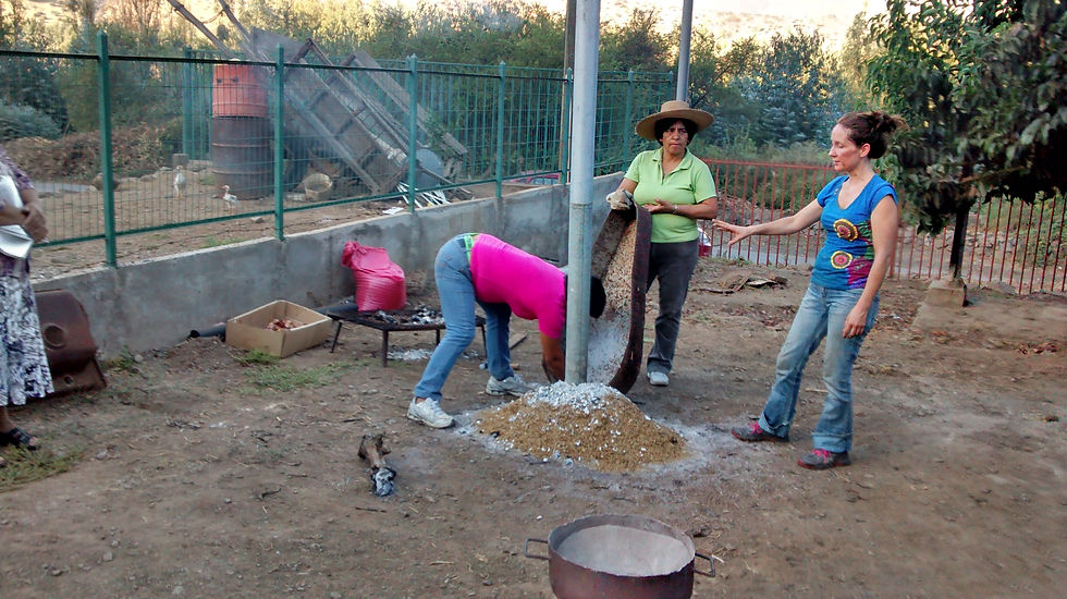 T. Nutrición orgánica de frutales