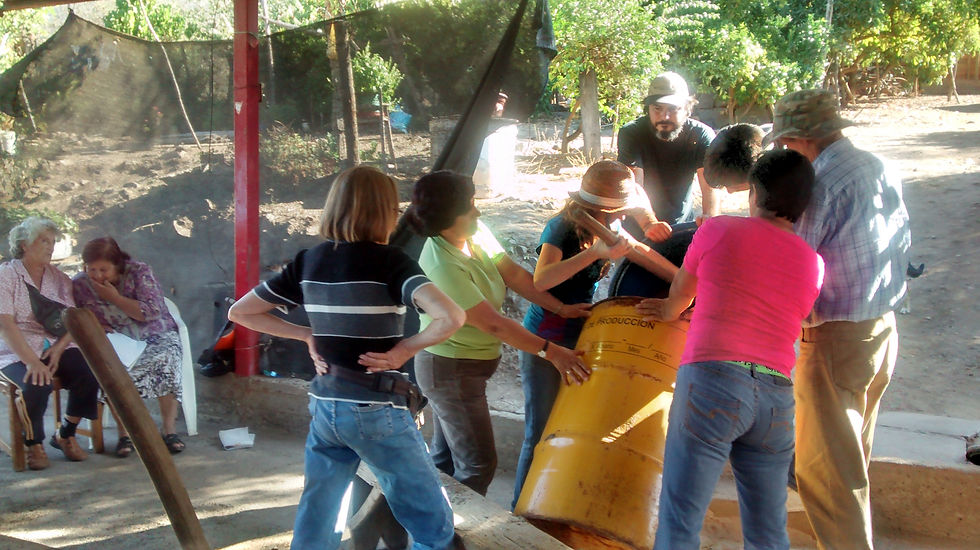 Taller de nutrición orgánica