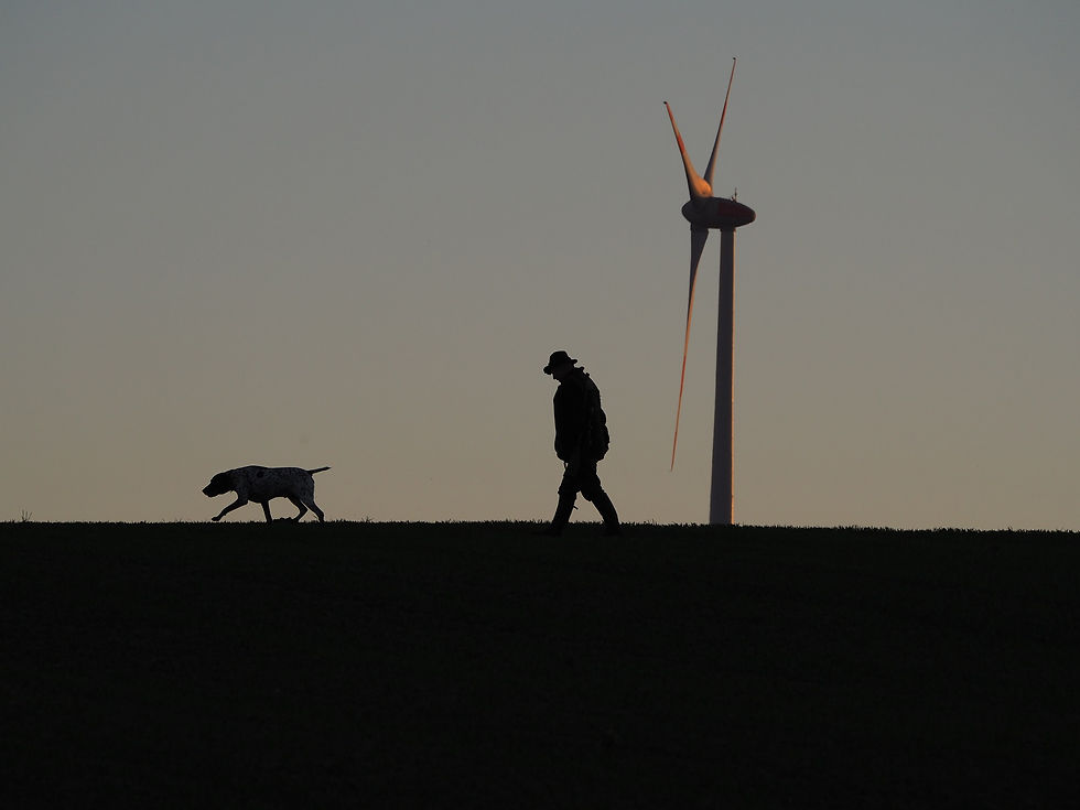 Jäger mit Vorstehhund