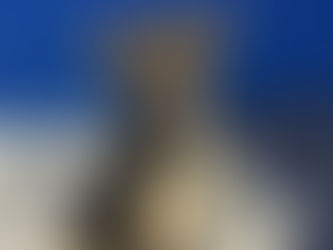 How to Prepare Your Dog for Their First Boarding Stay at The Dog Club