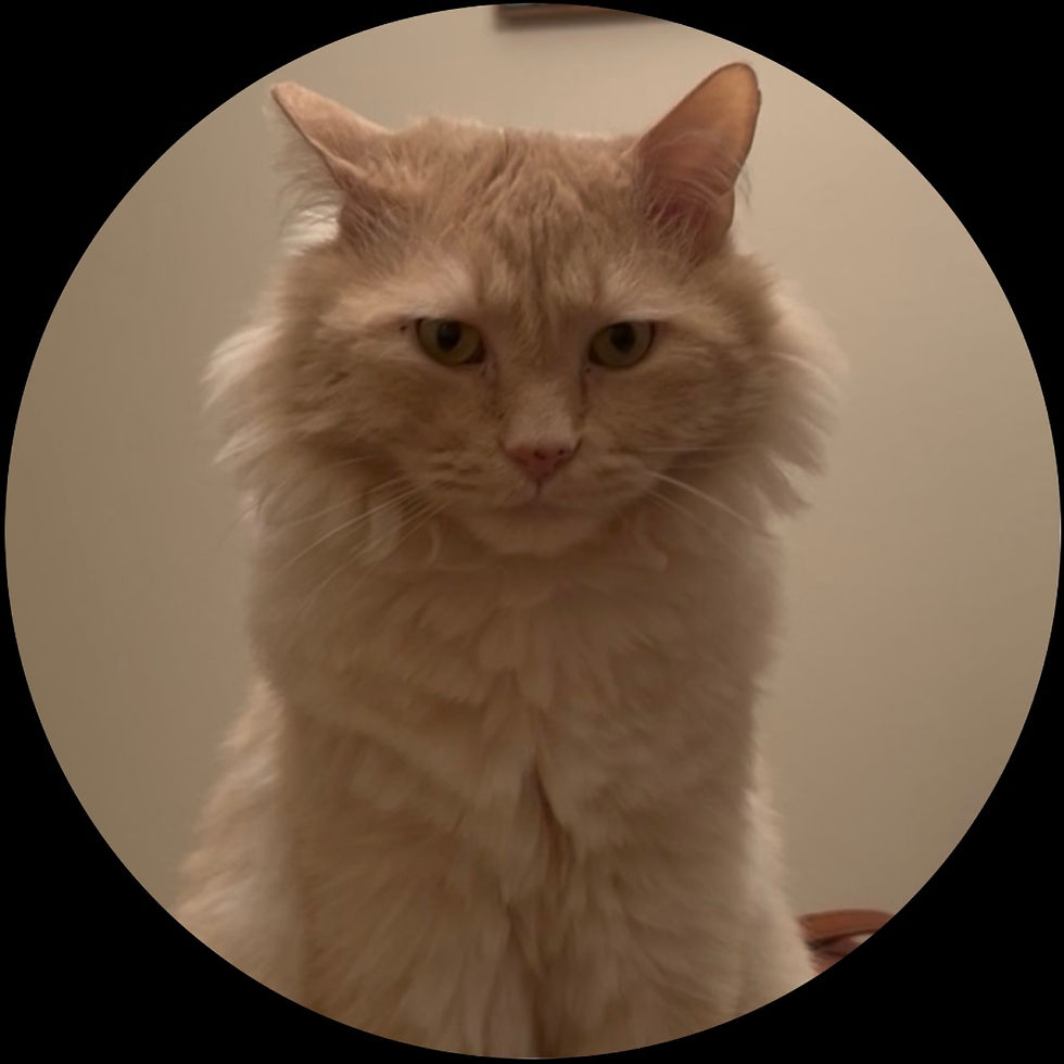 Mookie