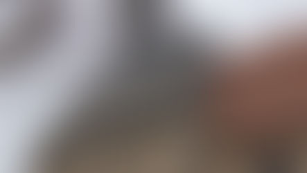    12 Janvier - MONTCORBON