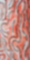 BAB5735E-D745-44D9-B0E0-582E05E5BB94_edited.jpg
