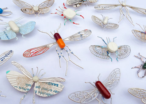 Insecta - pharma