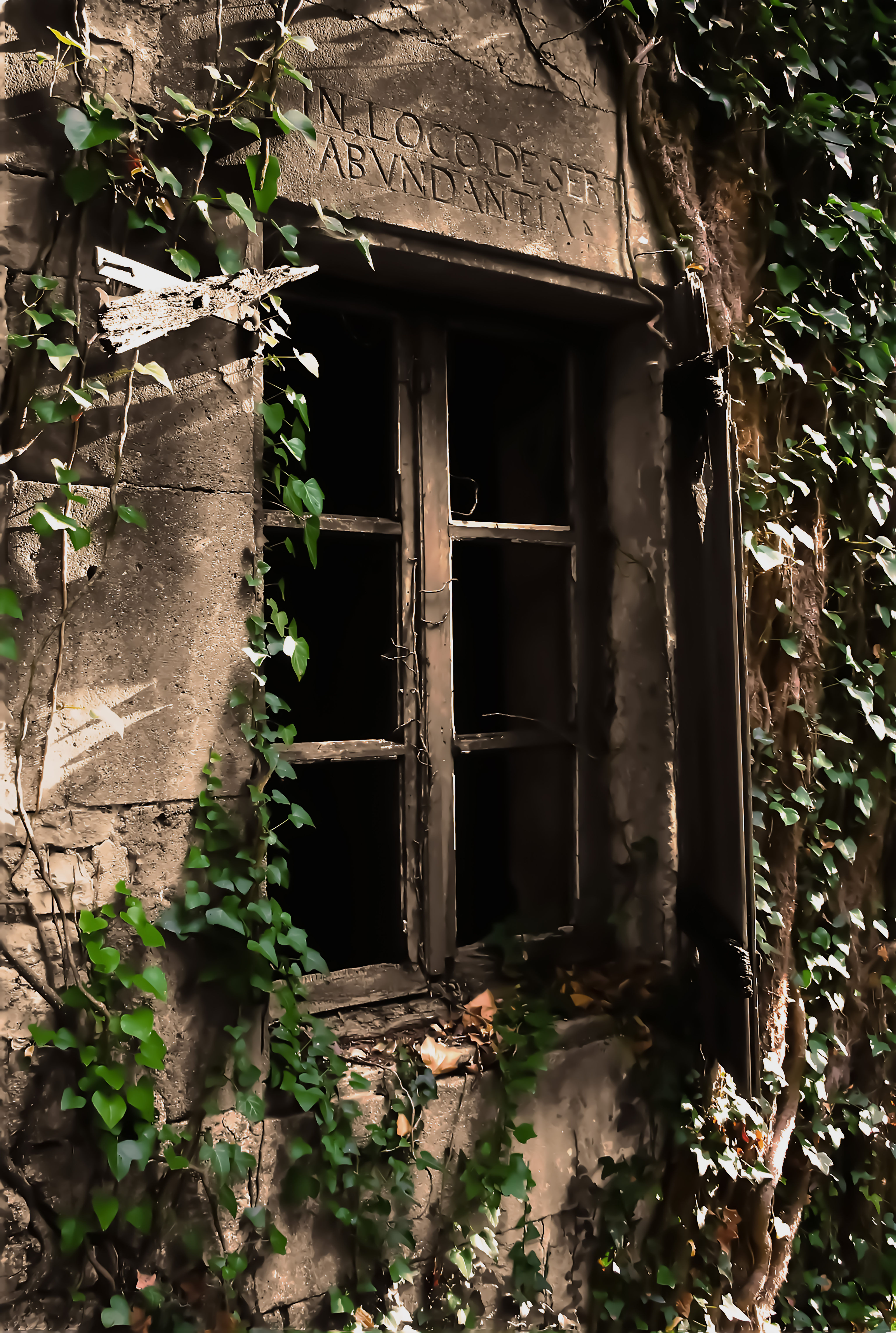 Quand la nature reprend ses droits 