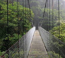 Walking bridge