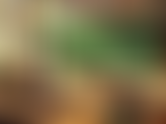 Sreda treće nedelje