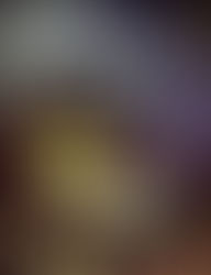 A letter to the librarian / IELTS writing