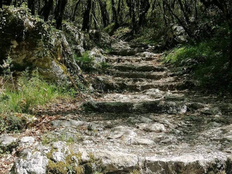 Zašto najbolji igrači ne čine uvek najbolji timIntroductionUvod