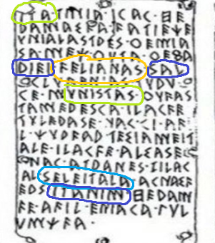 a transcription of one of the Pyrgi Golden