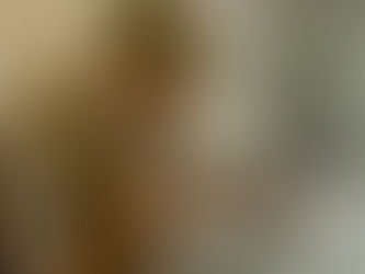 A letter to the landlord / IELTS Writing