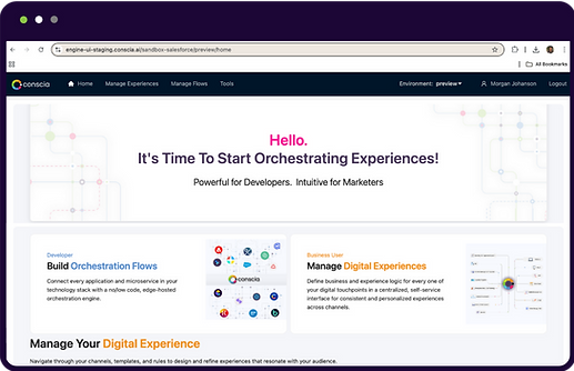 Conscia's Dashboard Interface showing Developer and Businesses Users Options 