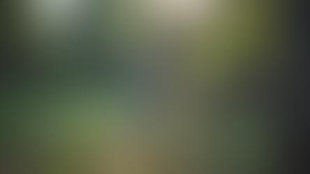 Top Tips for Effective Rodent Exclusion Services