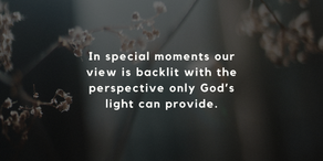 Backlit