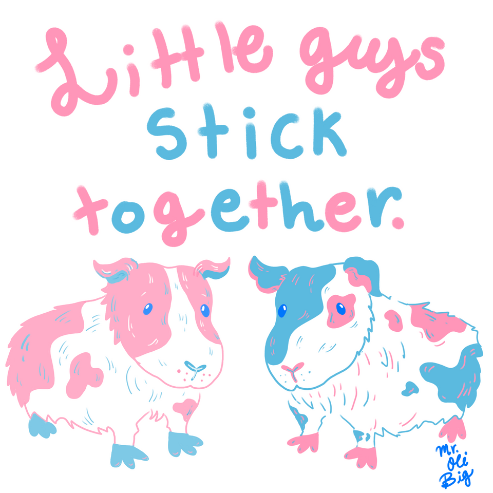Little guys stick together