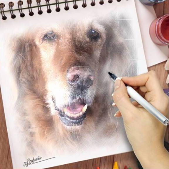 C'Etait Il Y A 4 Ans...