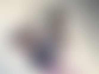 ワイルド7のこと