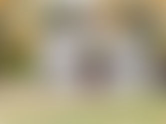 Most important Fall landscaping clean-up To-do's