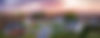 AdobeStock_328218139.jpeg