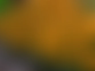 Best drought-tolerant plants for Maryland landscaping