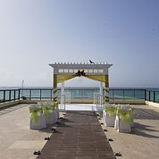 20180710_091057 (1).jpg