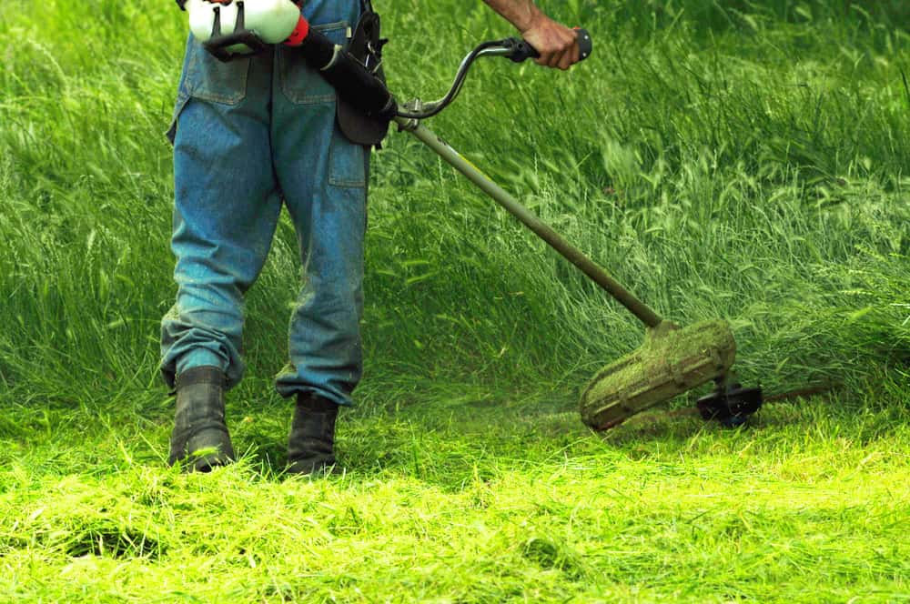 How To Weed Eat Like A Pro How to Weed Eat like a Pro | Maryland | Rooted in Nature