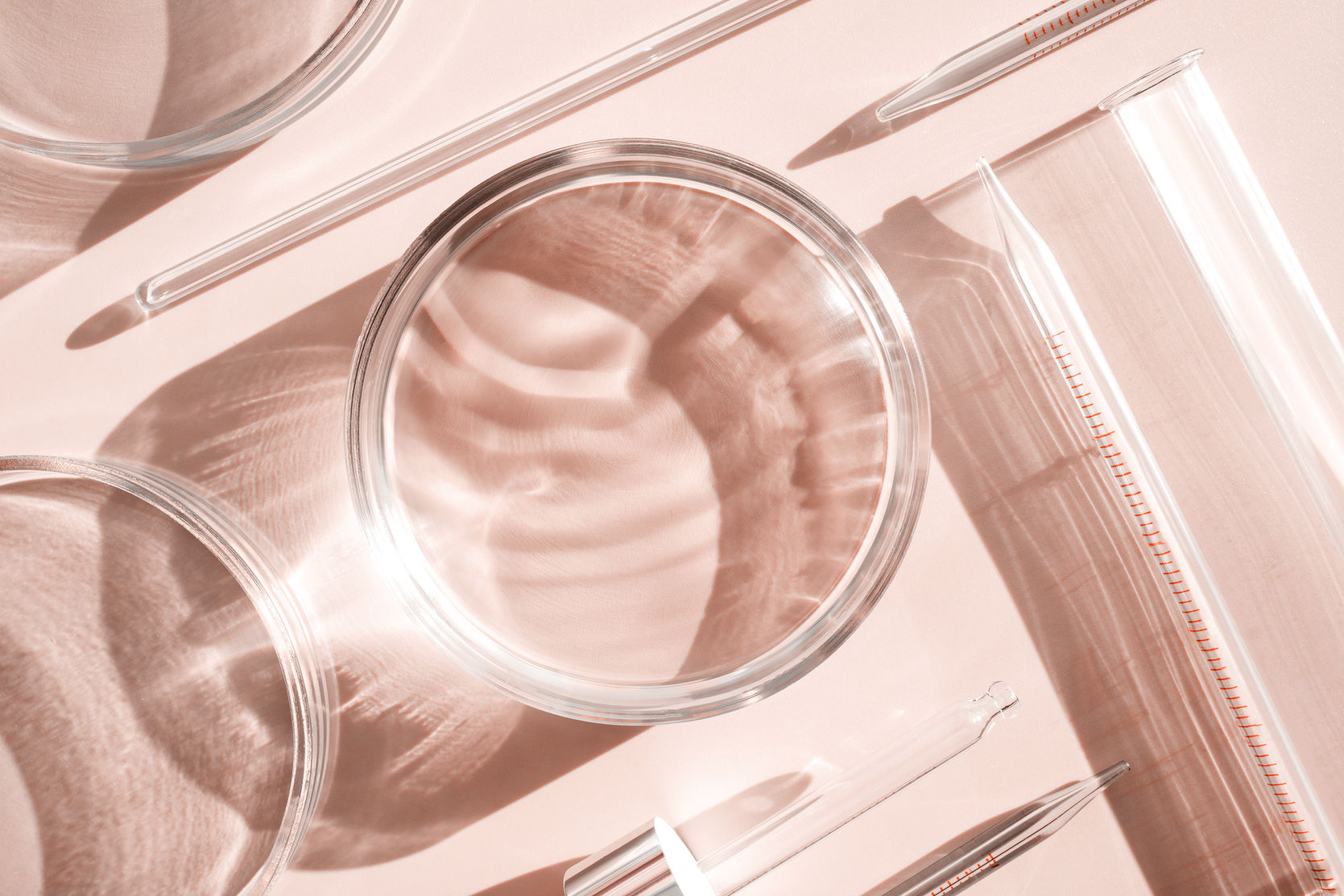 AdobeStock_584366368.jpeg