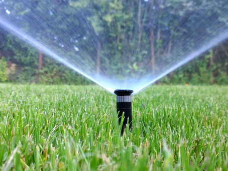 When do I start watering my lawn after winter?