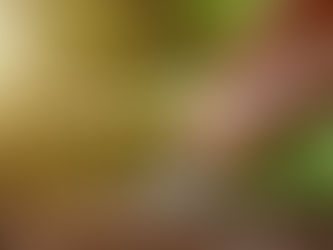 Fertilizing: Different types and how to use them