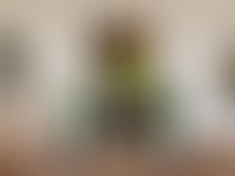 How to acclimate plants indoors for the Maryland Fall/Winter