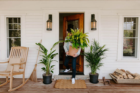 How to Bring Plants Indoors for Winter | Rooted in Nature
