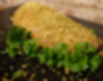 Thumbnail: Garlic Chicken Kiev with parsley